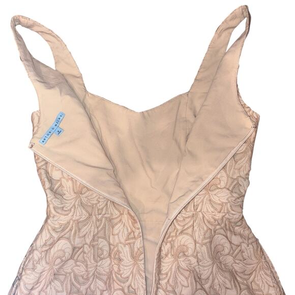 Antonio Melani Nyla Embroidered Lace Midi Dress - Picture 7 of 9